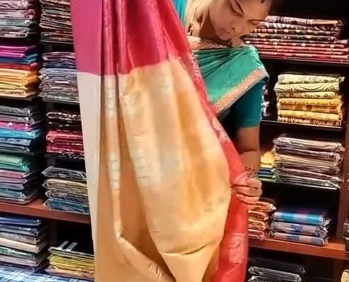 Saree Prepleating (3)